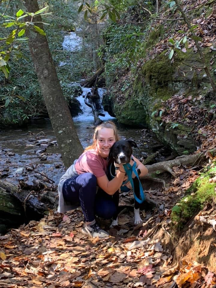 Urgent Financial Assistance Needed for our Beloved Dog's Surgery